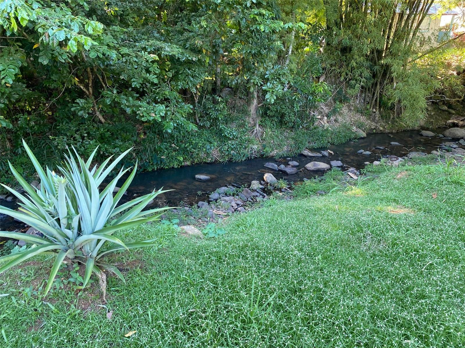 MAYAGUEZ — foto 10