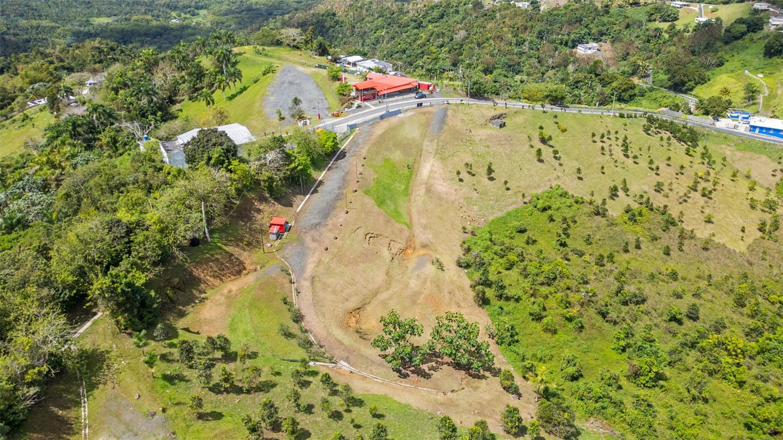 SAN LORENZO — foto 2