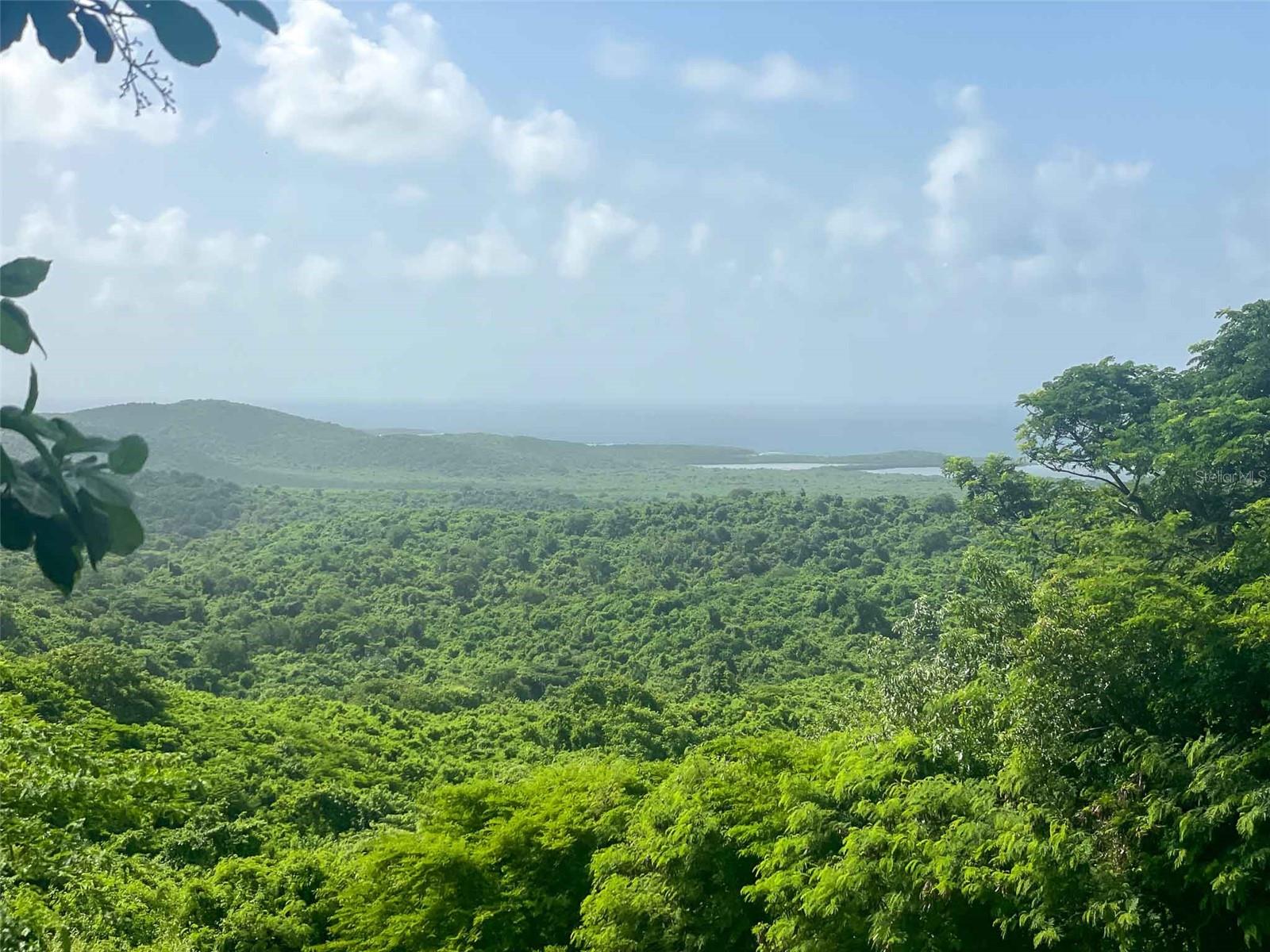 VIEQUES