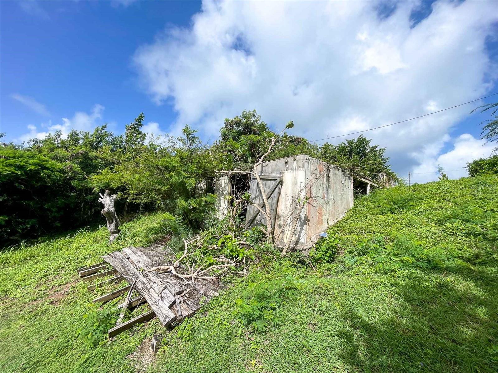 VIEQUES — foto 5