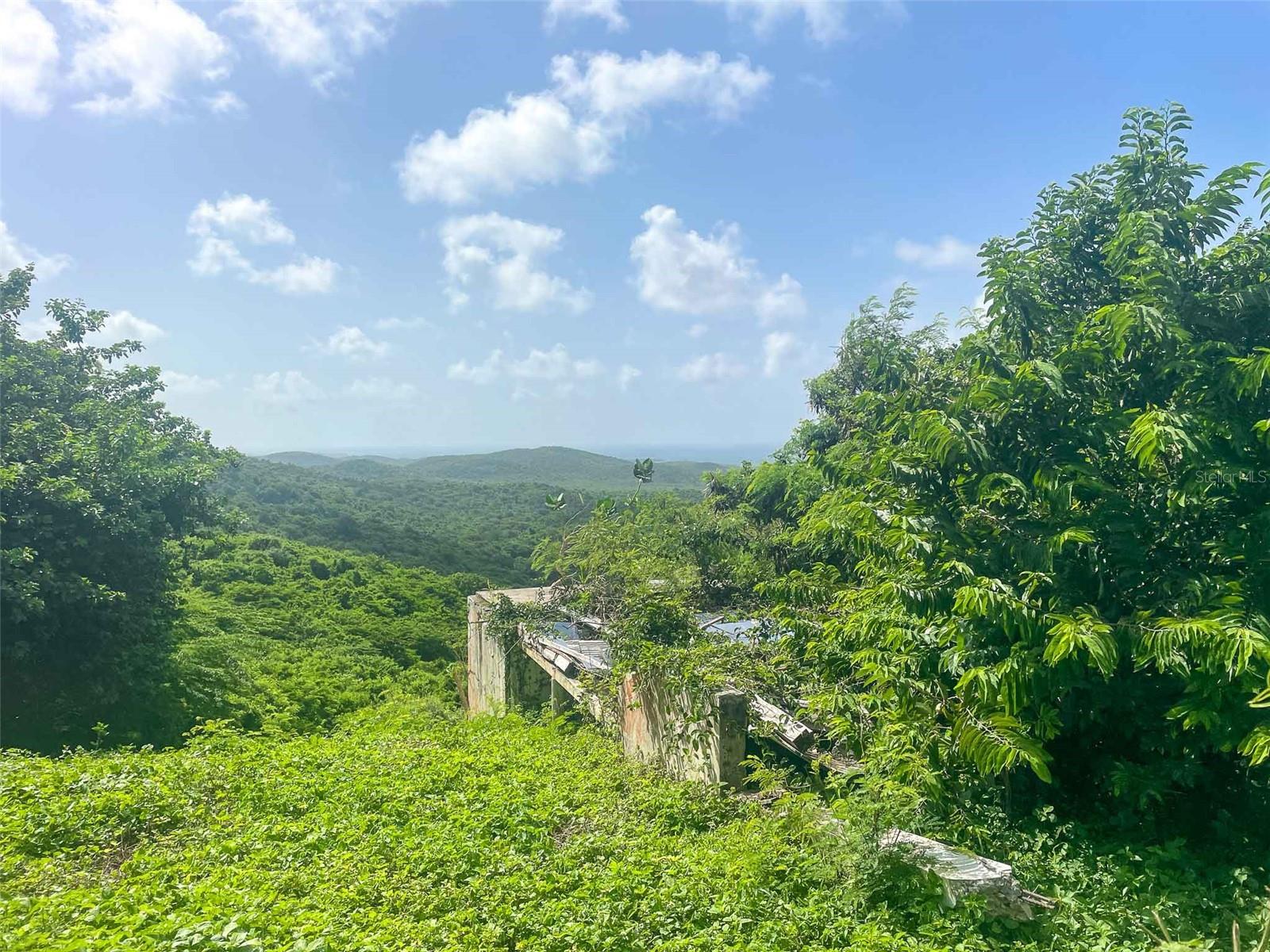 VIEQUES — foto 8