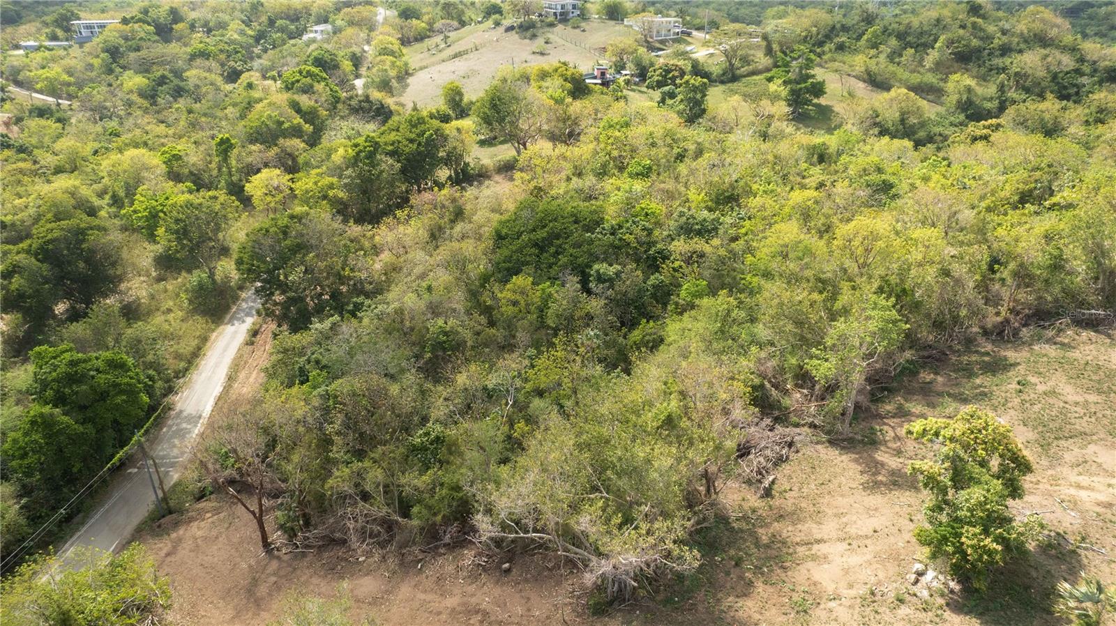 VIEQUES — foto 5