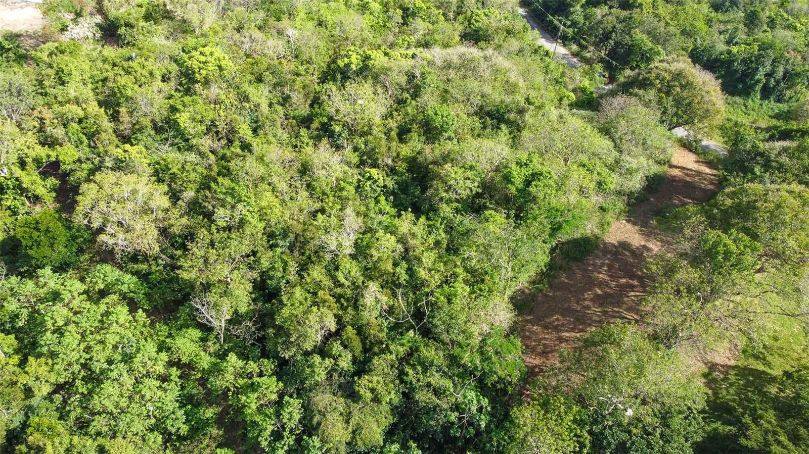 VIEQUES — foto 6