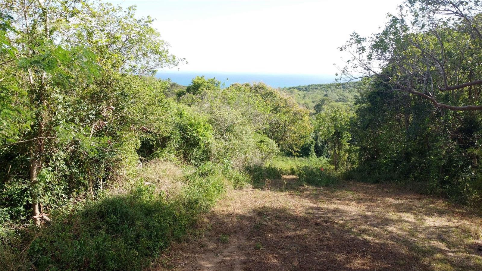 VIEQUES — foto 7