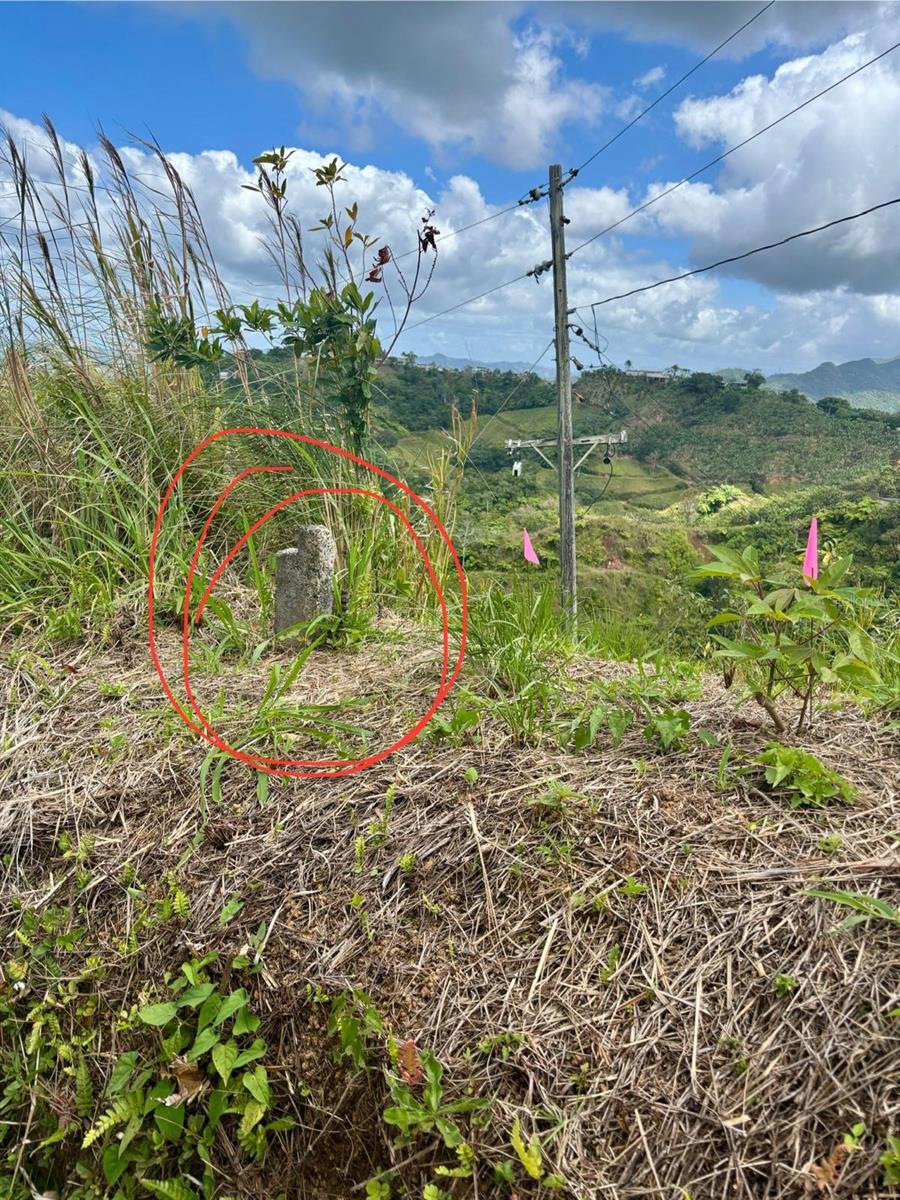 MARICAO — foto 2
