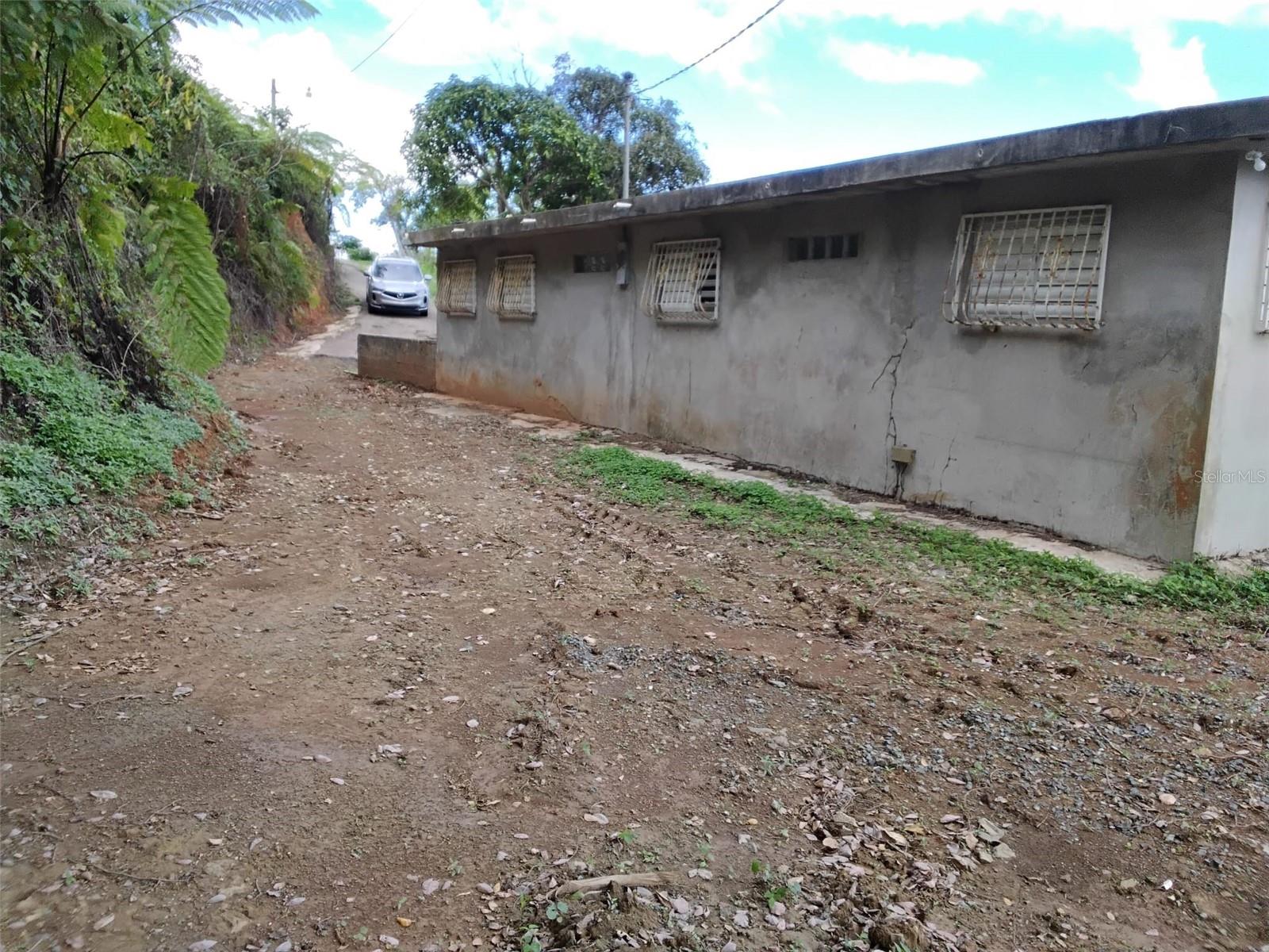 MARICAO — foto 6