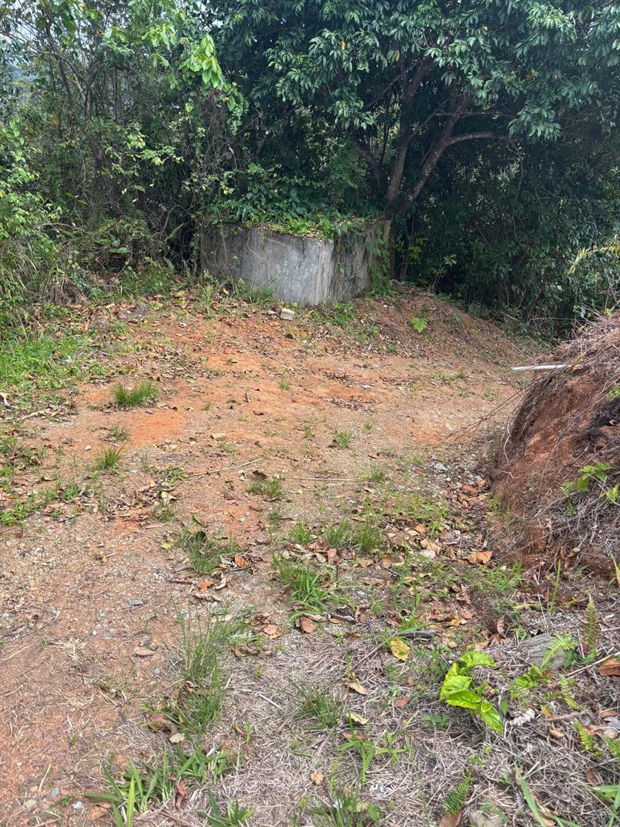 MARICAO — foto 8