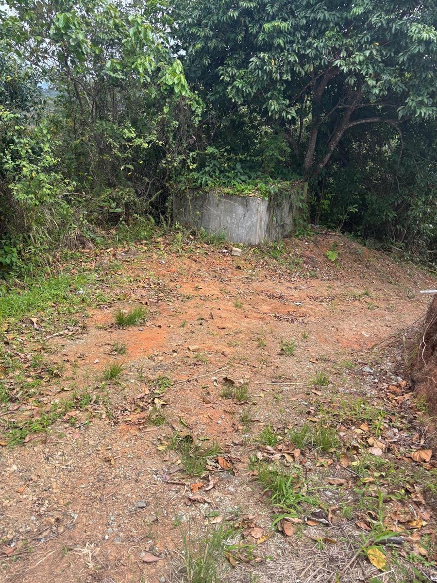 MARICAO — foto 9