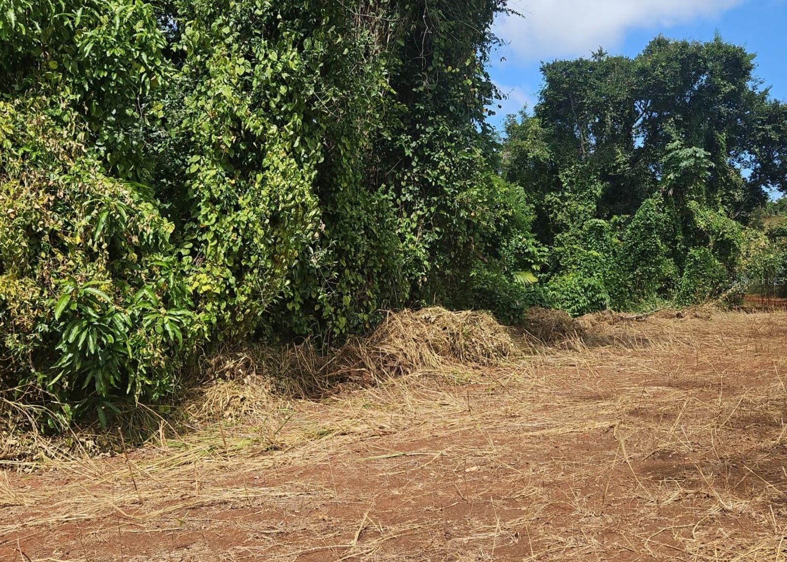 MAYAGUEZ — foto 12
