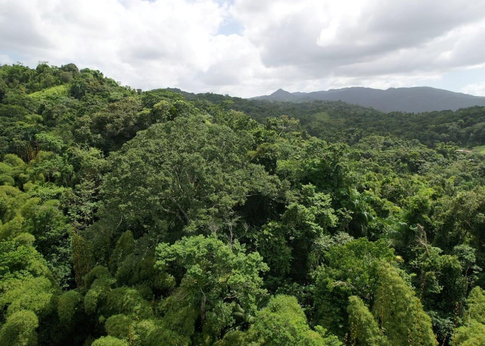 MAYAGUEZ — foto 3