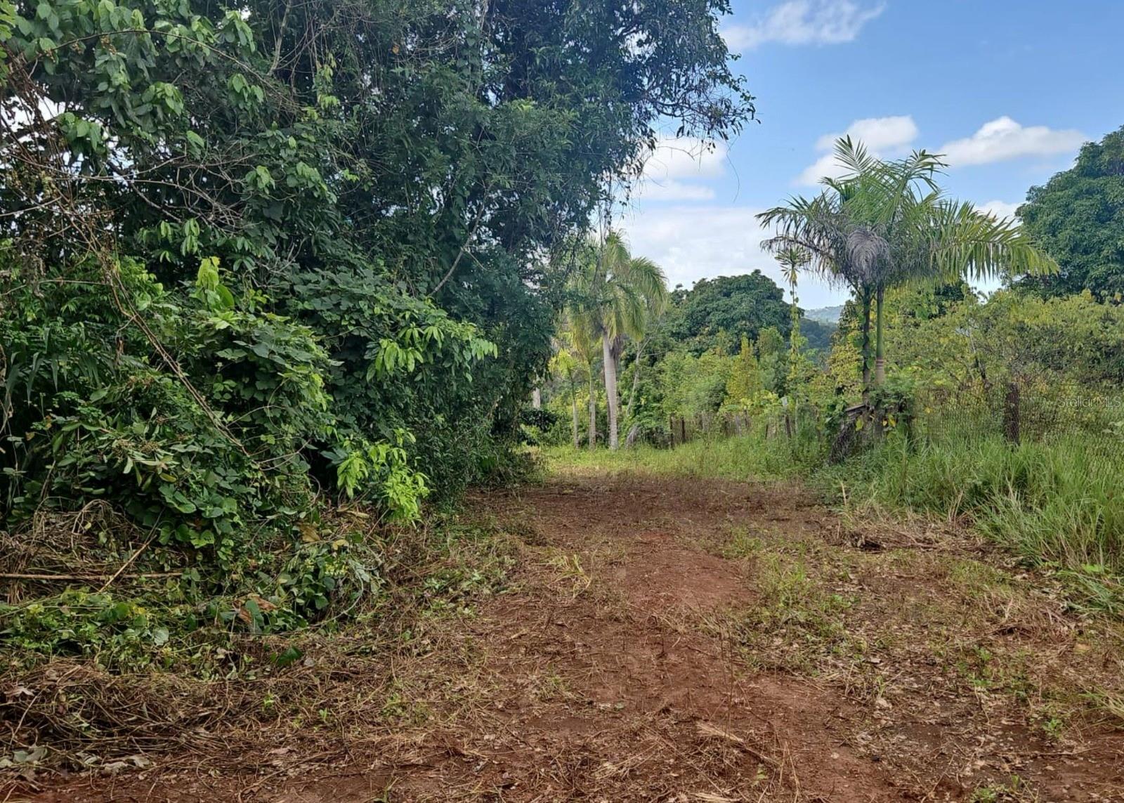MAYAGUEZ — foto 5