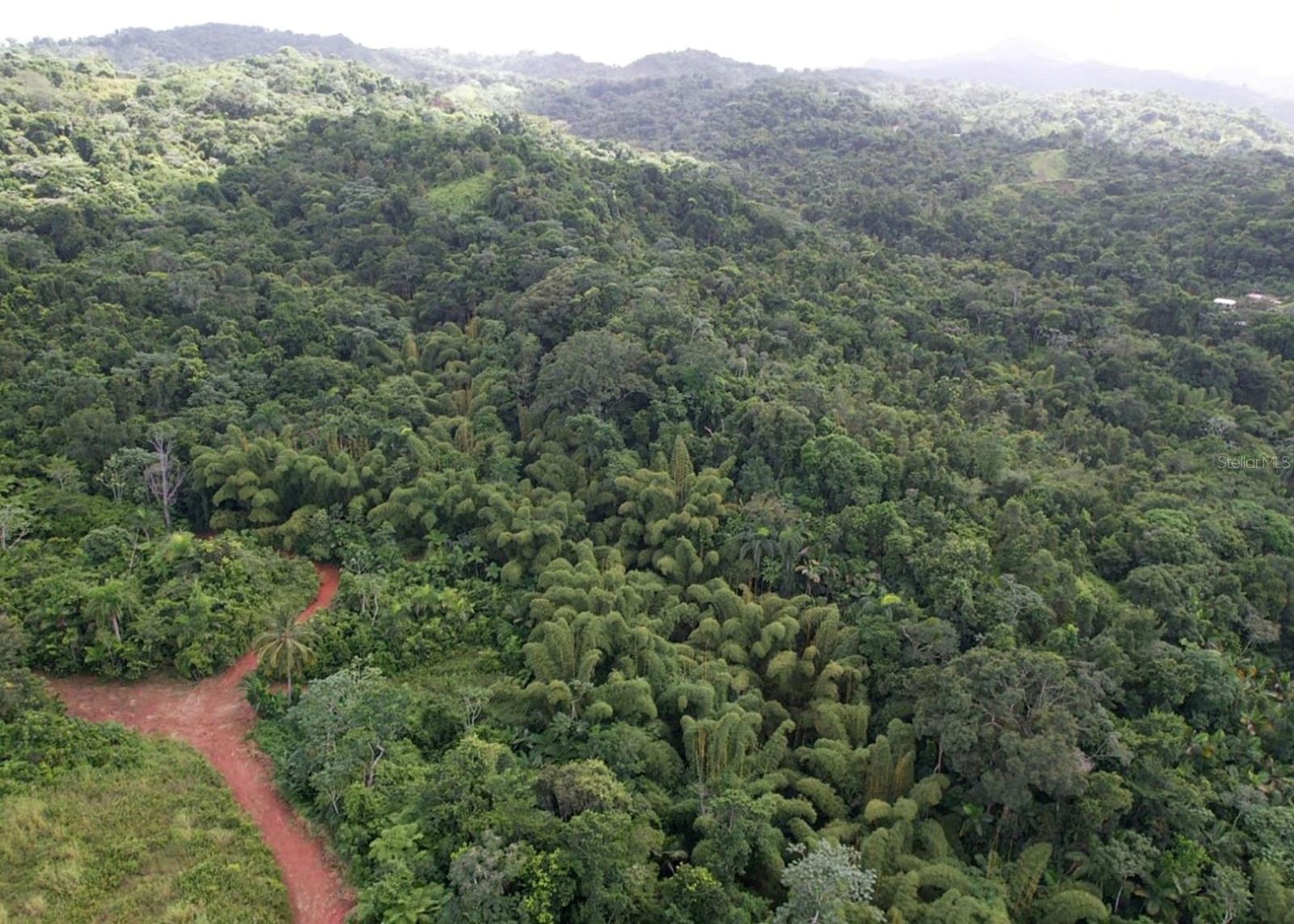 MAYAGUEZ — foto 6