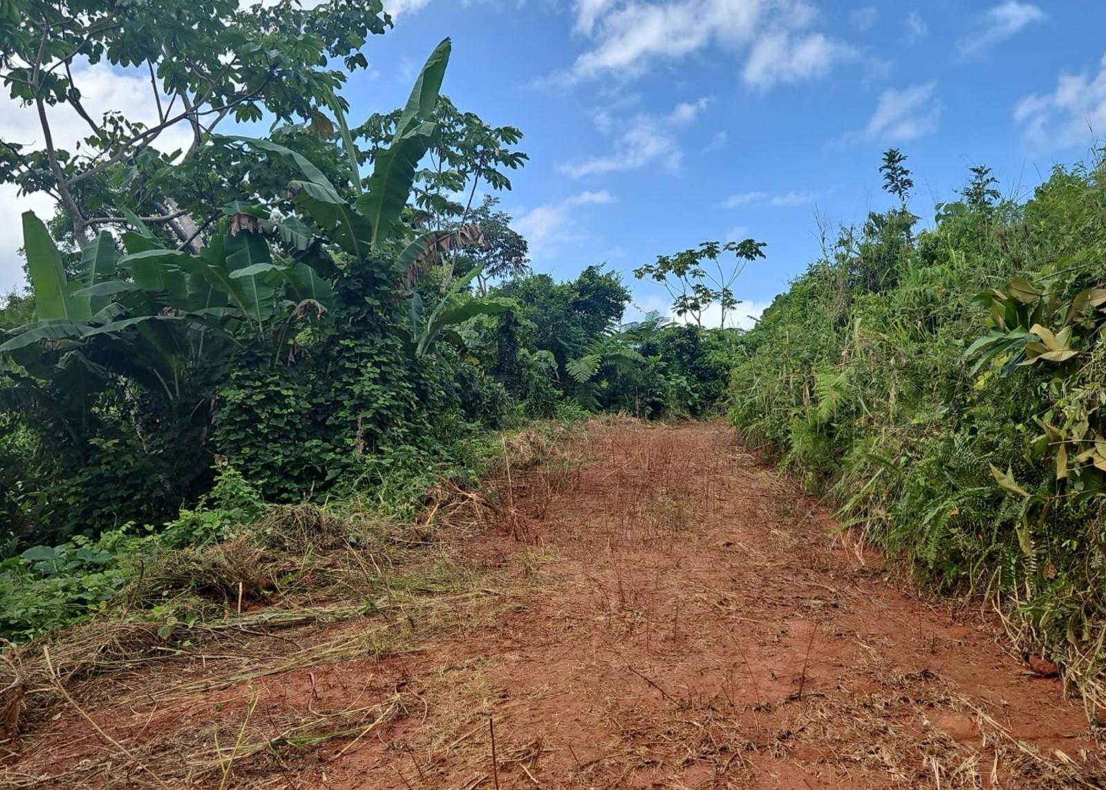 MAYAGUEZ — foto 10