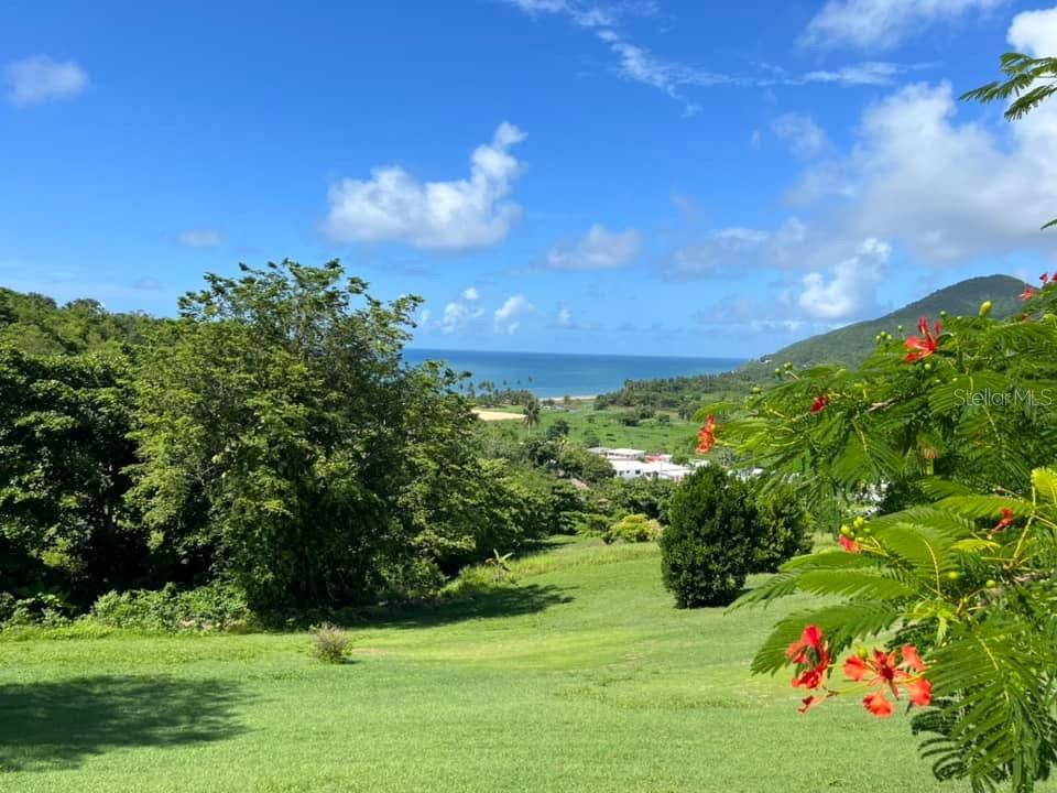 4 hab · 3 baños · MAUNABO — foto 3