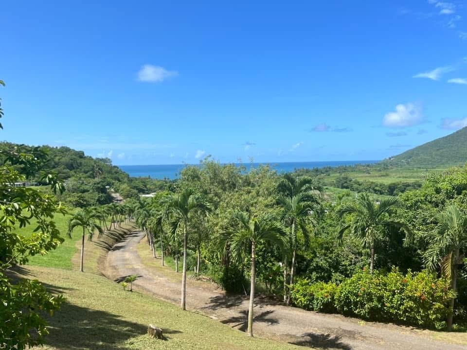 4 hab · 3 baños · MAUNABO — foto 4