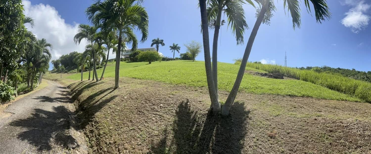 4 hab · 3 baños · MAUNABO — foto 8