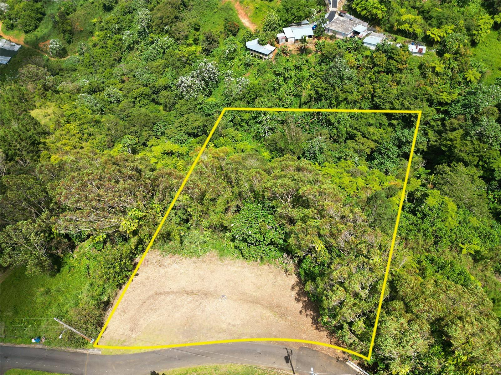 NARANJITO — foto 2