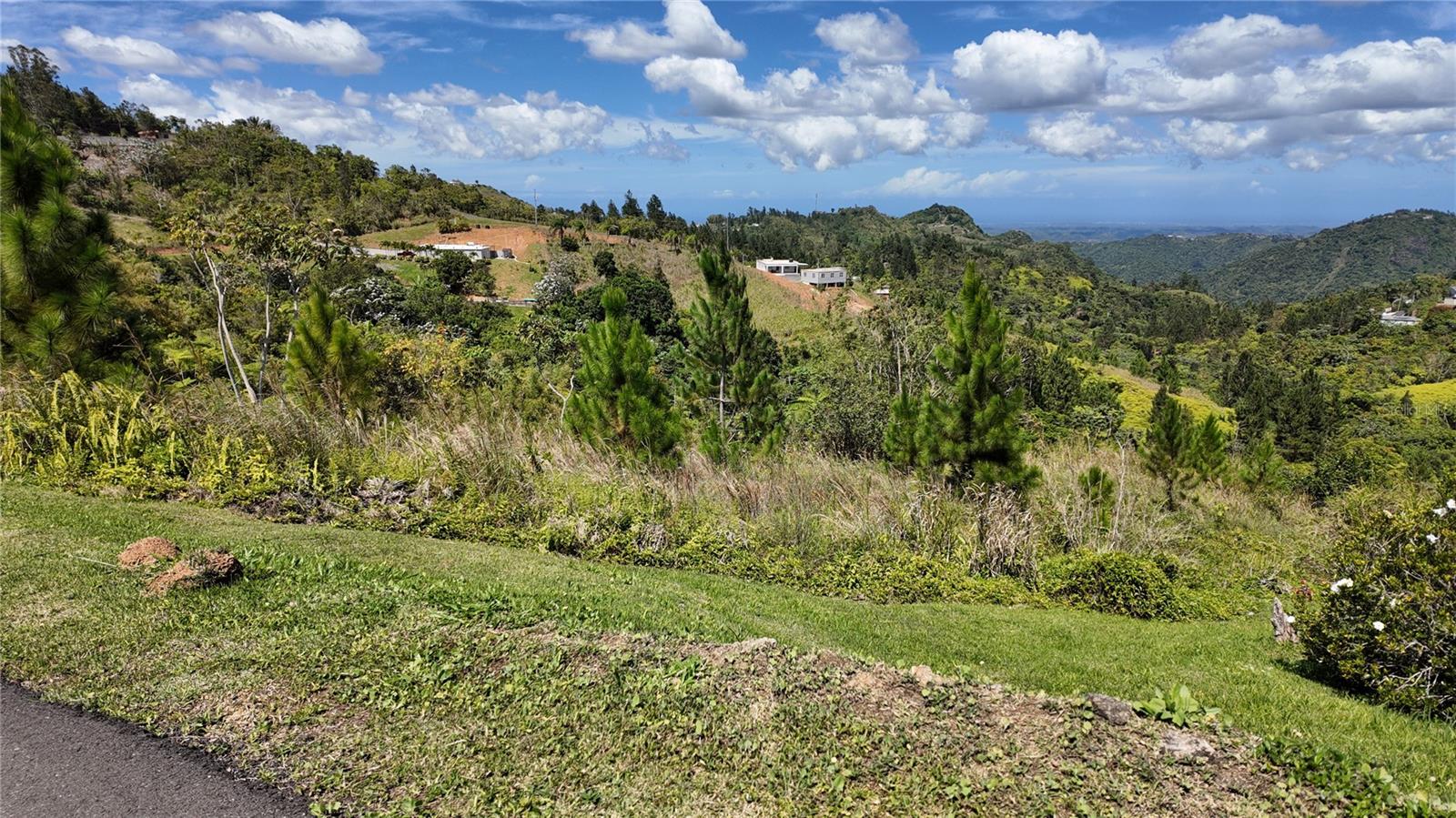 OROCOVIS