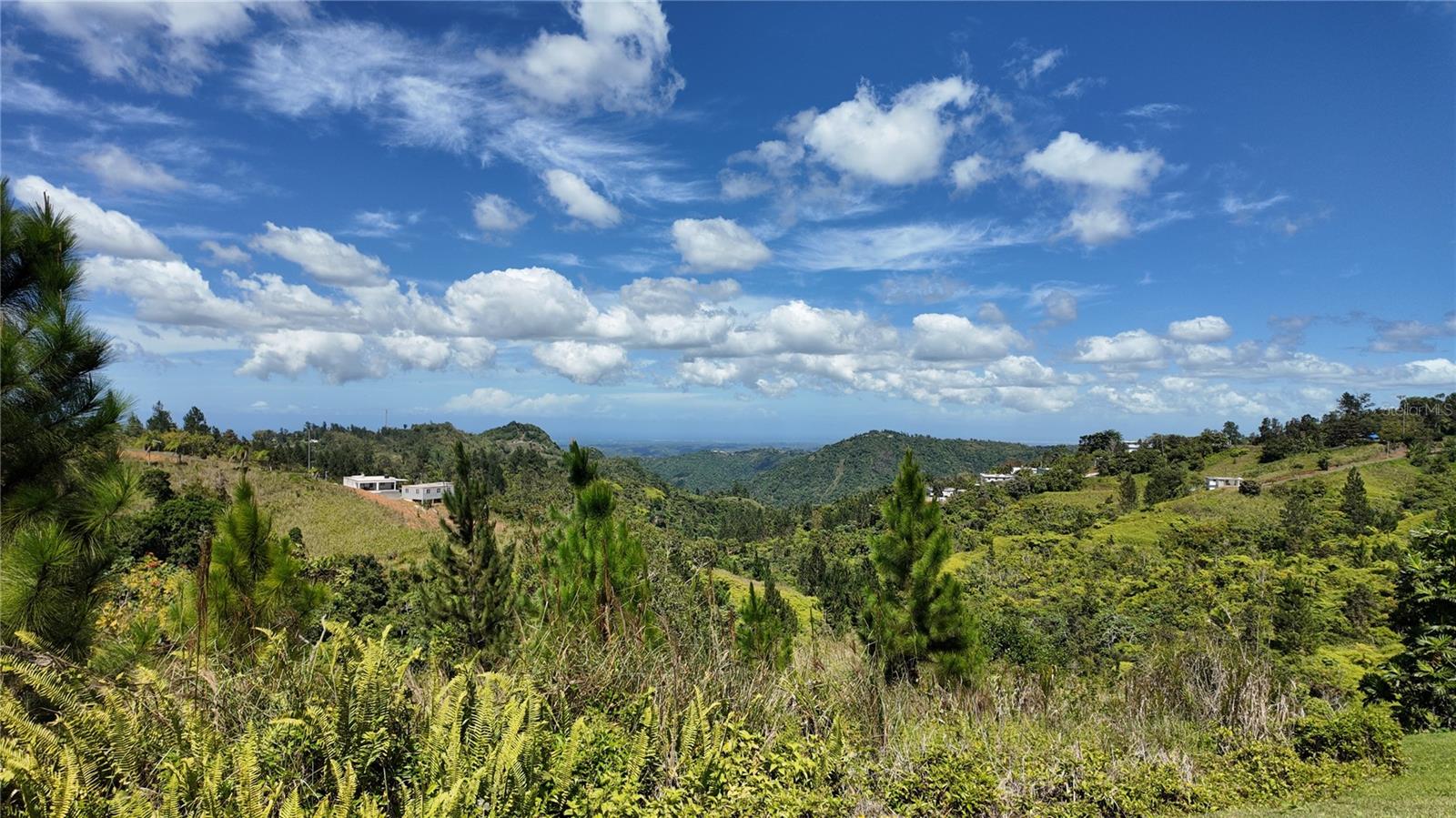 OROCOVIS — foto 2