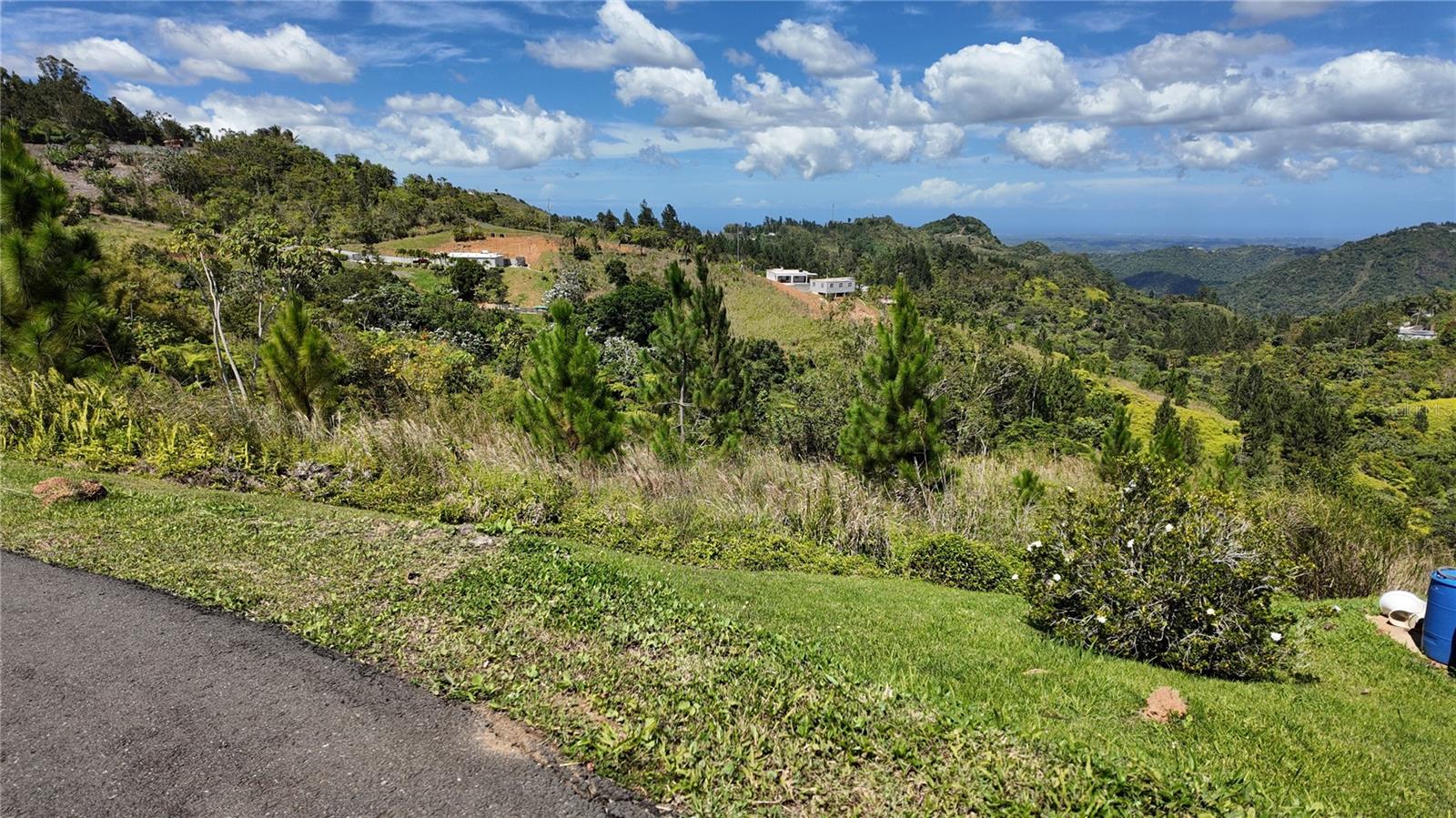 OROCOVIS — foto 3