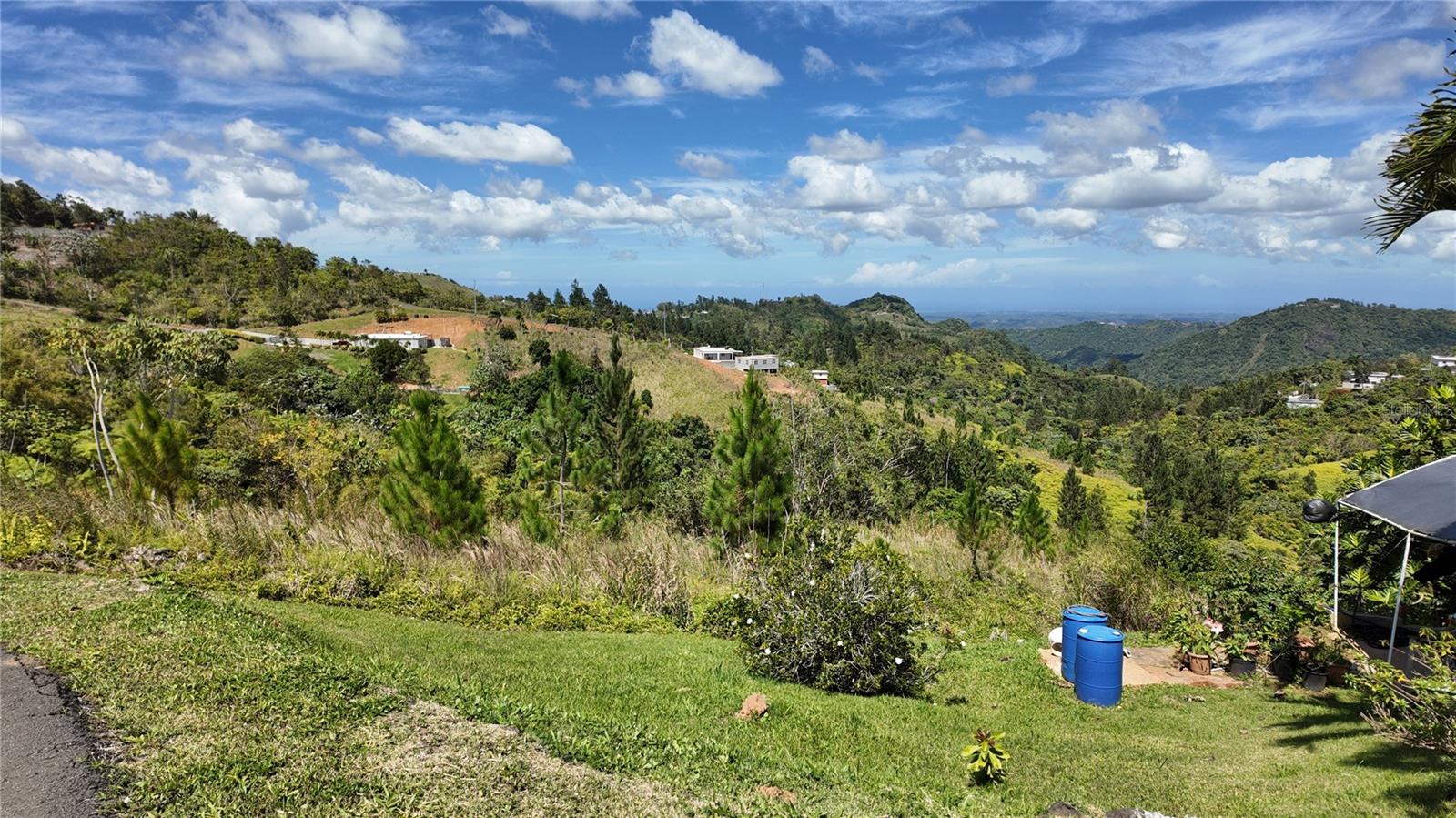 OROCOVIS — foto 4