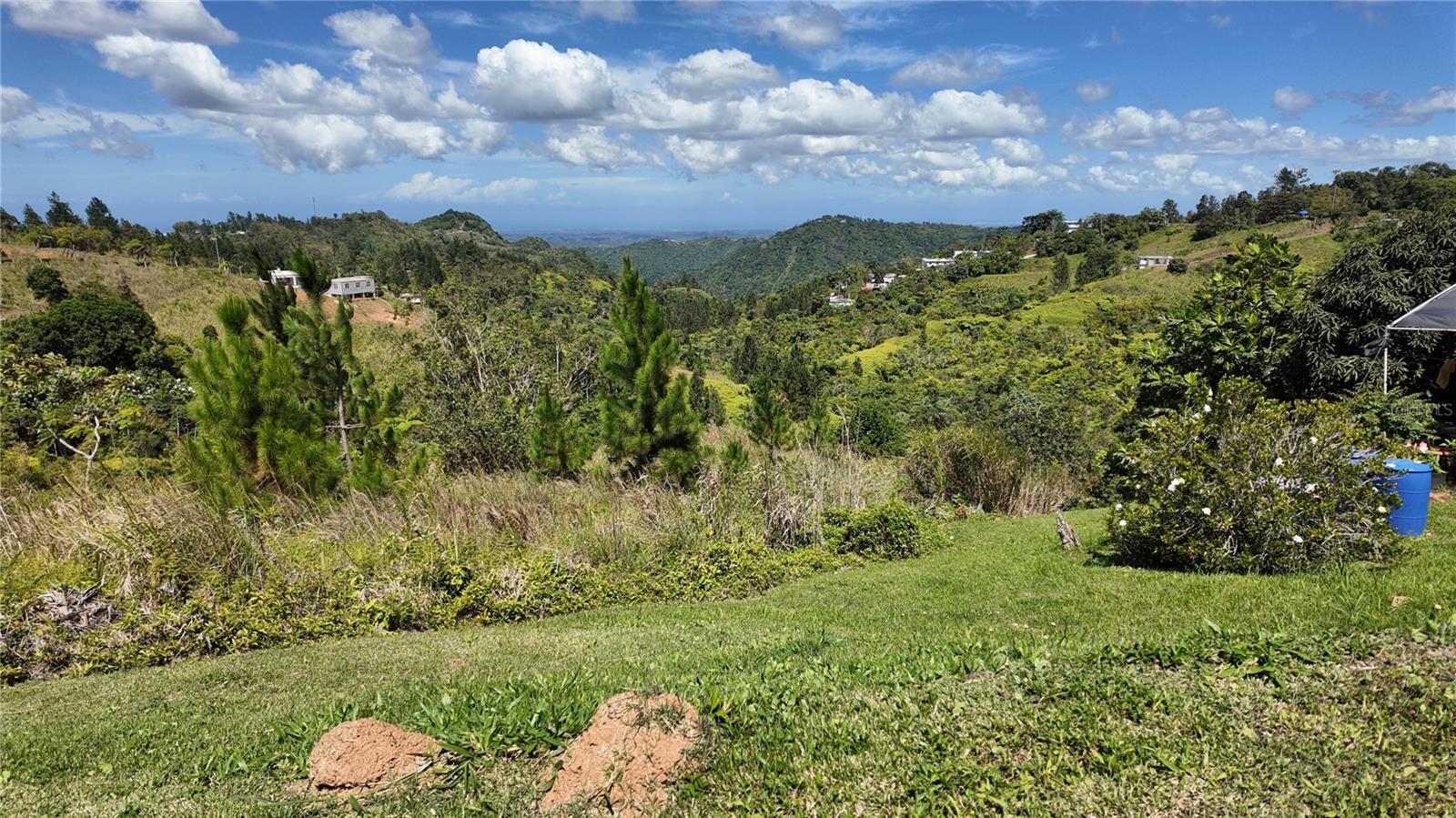 OROCOVIS — foto 5