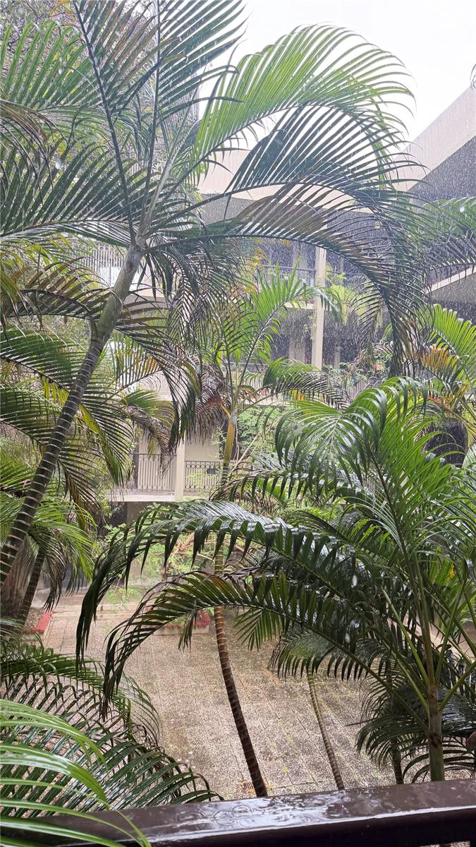 2 hab · 1 baños · VIEJO SAN JUAN — foto 12