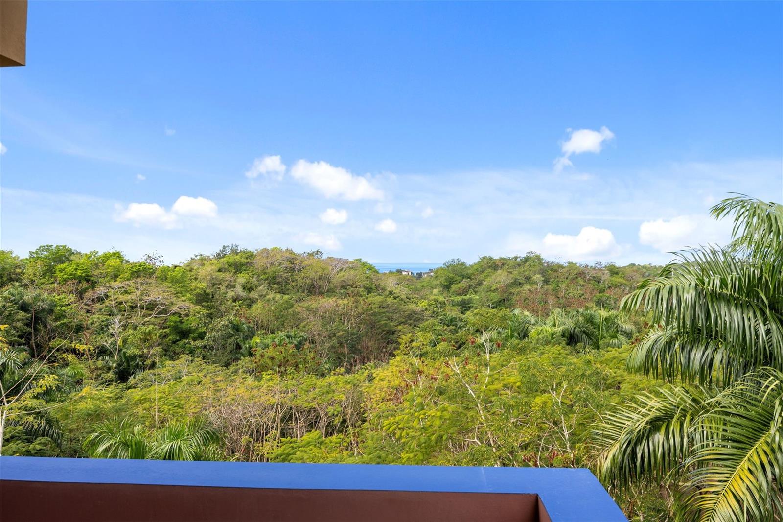 3 hab · 4 baños · RINCON — foto 9