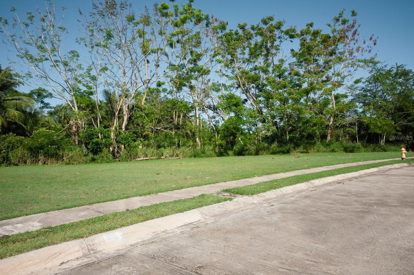 CABO ROJO — foto 5
