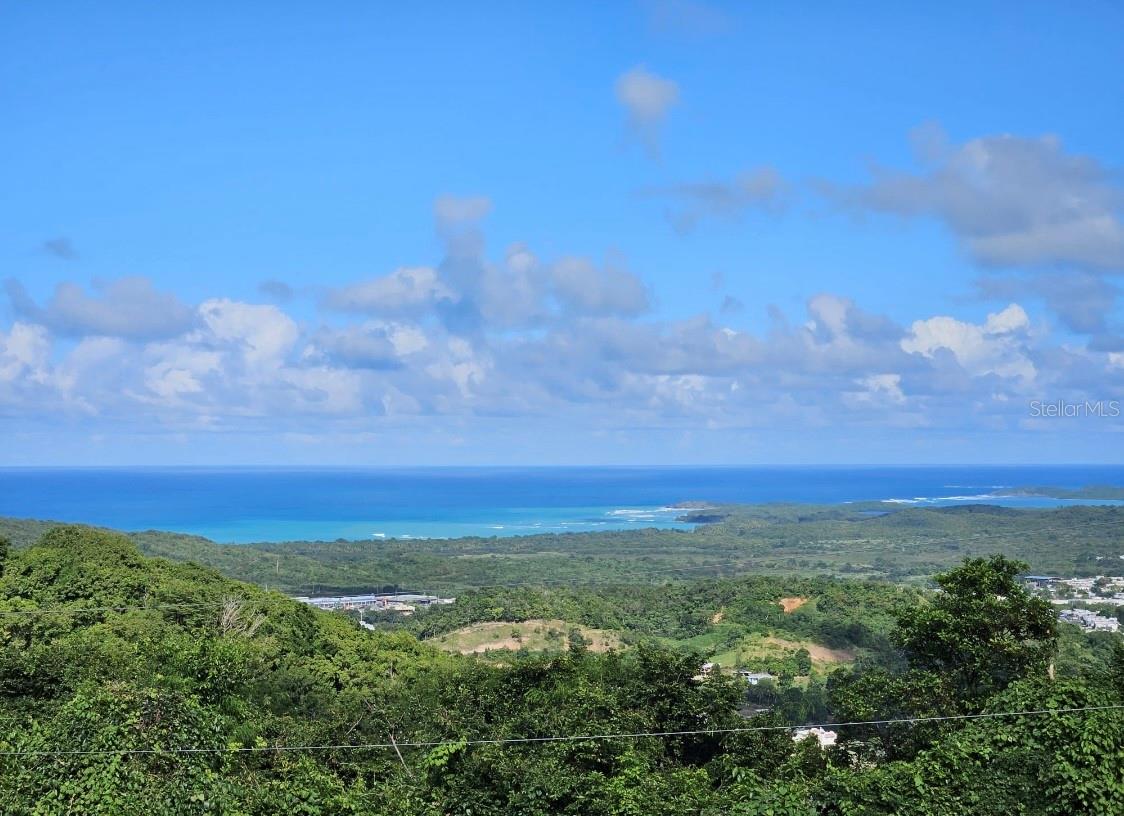 FAJARDO