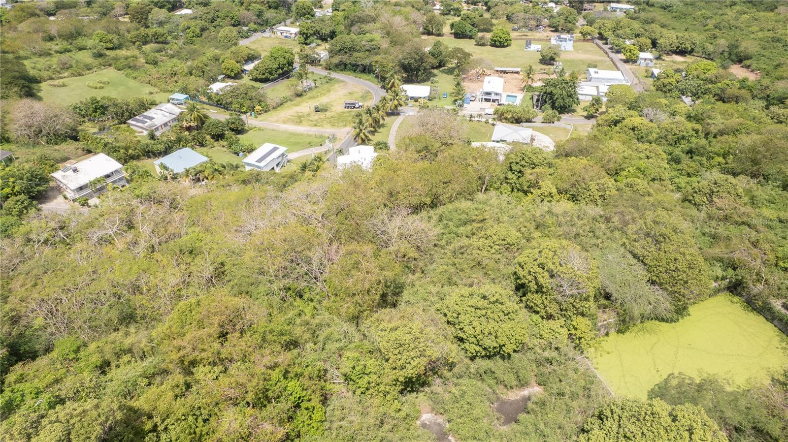 VIEQUES — foto 6
