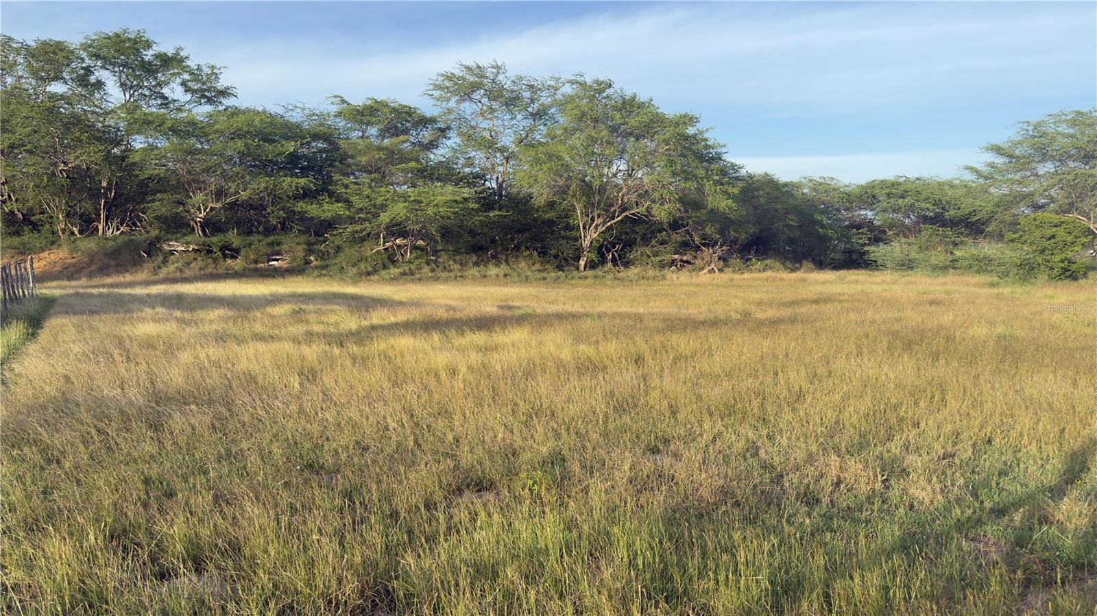 CABO ROJO — foto 8