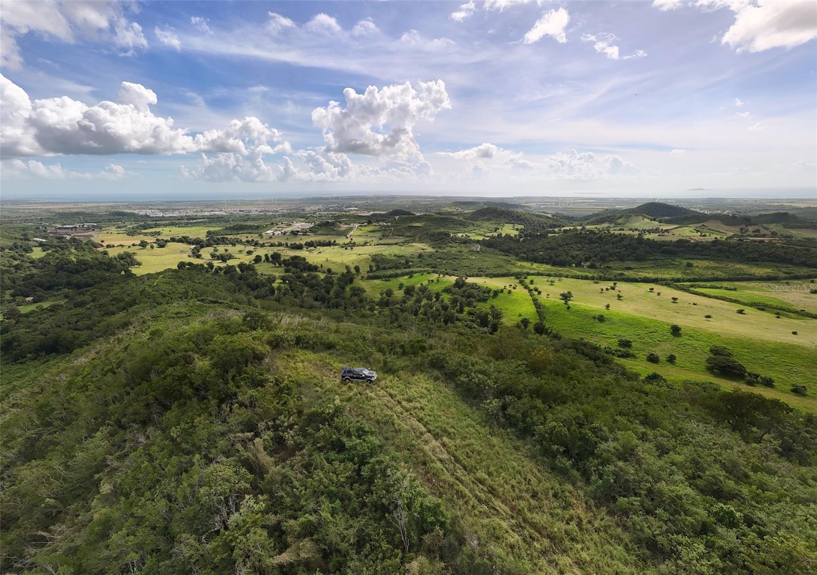 COAMO