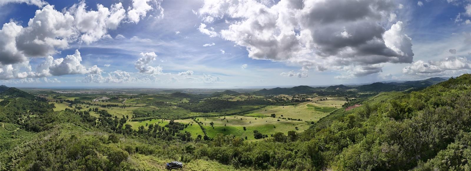 COAMO — foto 2