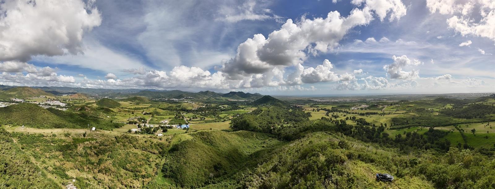 COAMO — foto 3