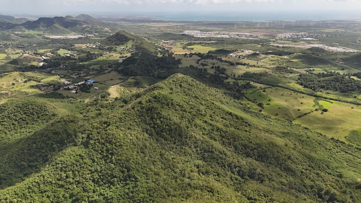 COAMO — foto 4
