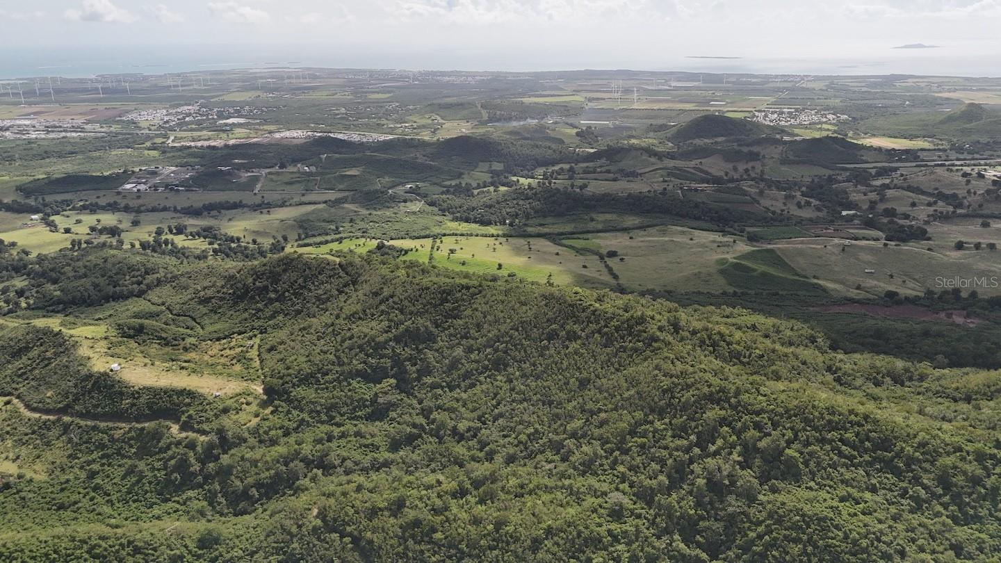 COAMO — foto 5