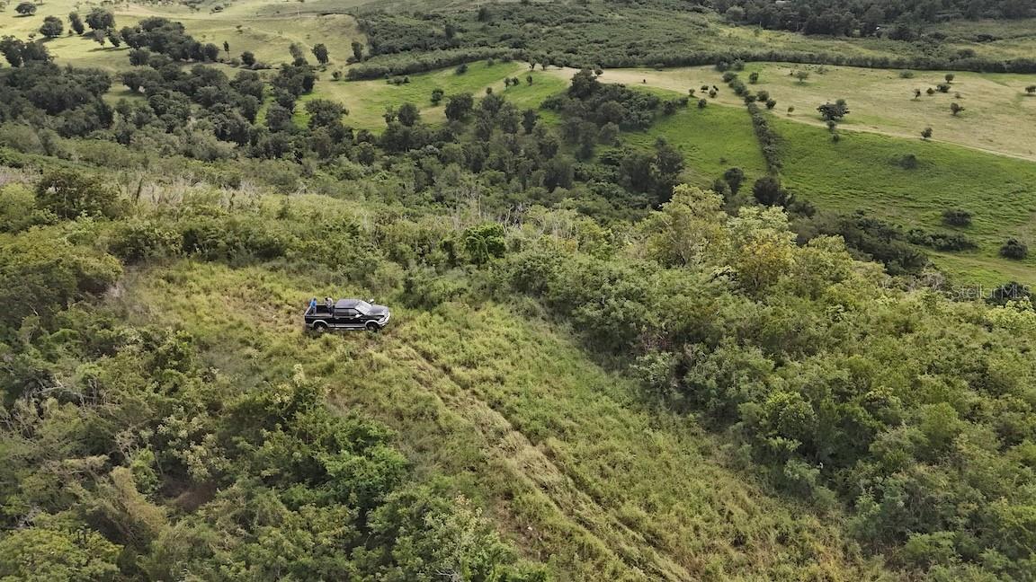 COAMO — foto 6