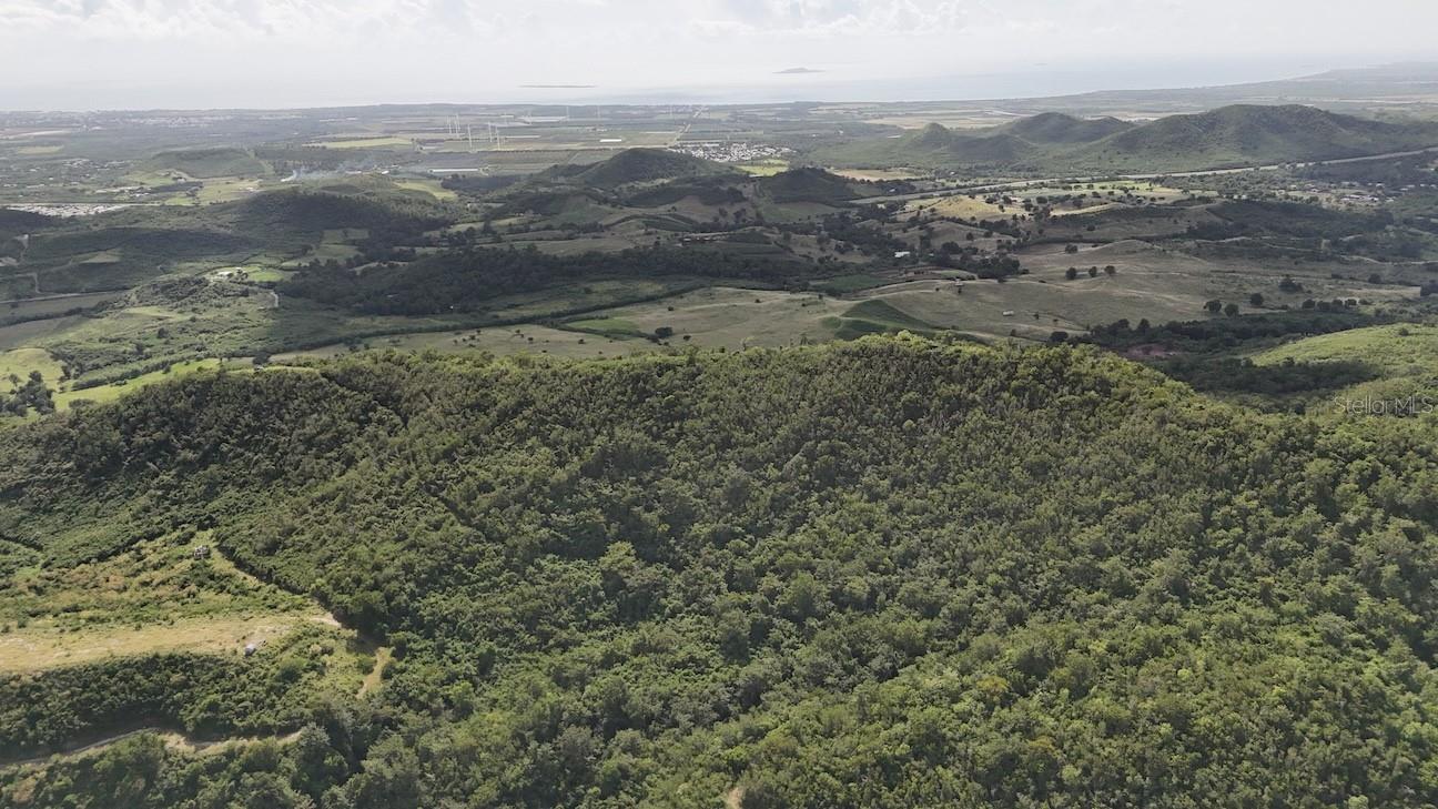 COAMO — foto 7