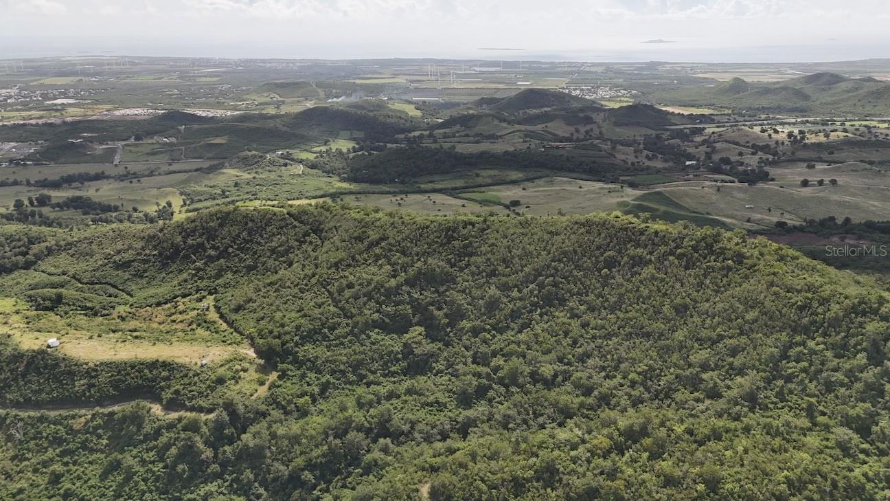 COAMO — foto 8