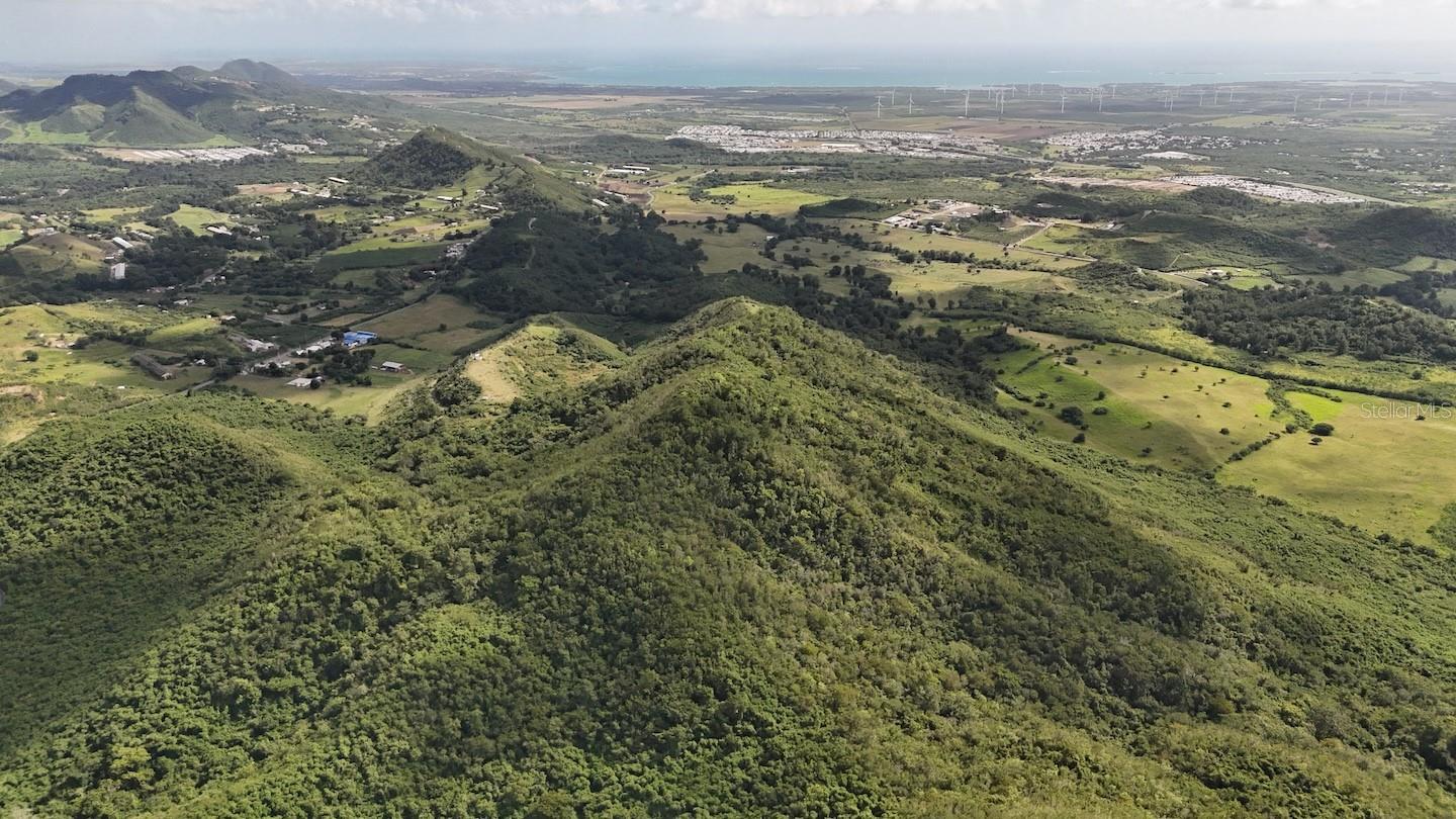 COAMO — foto 9