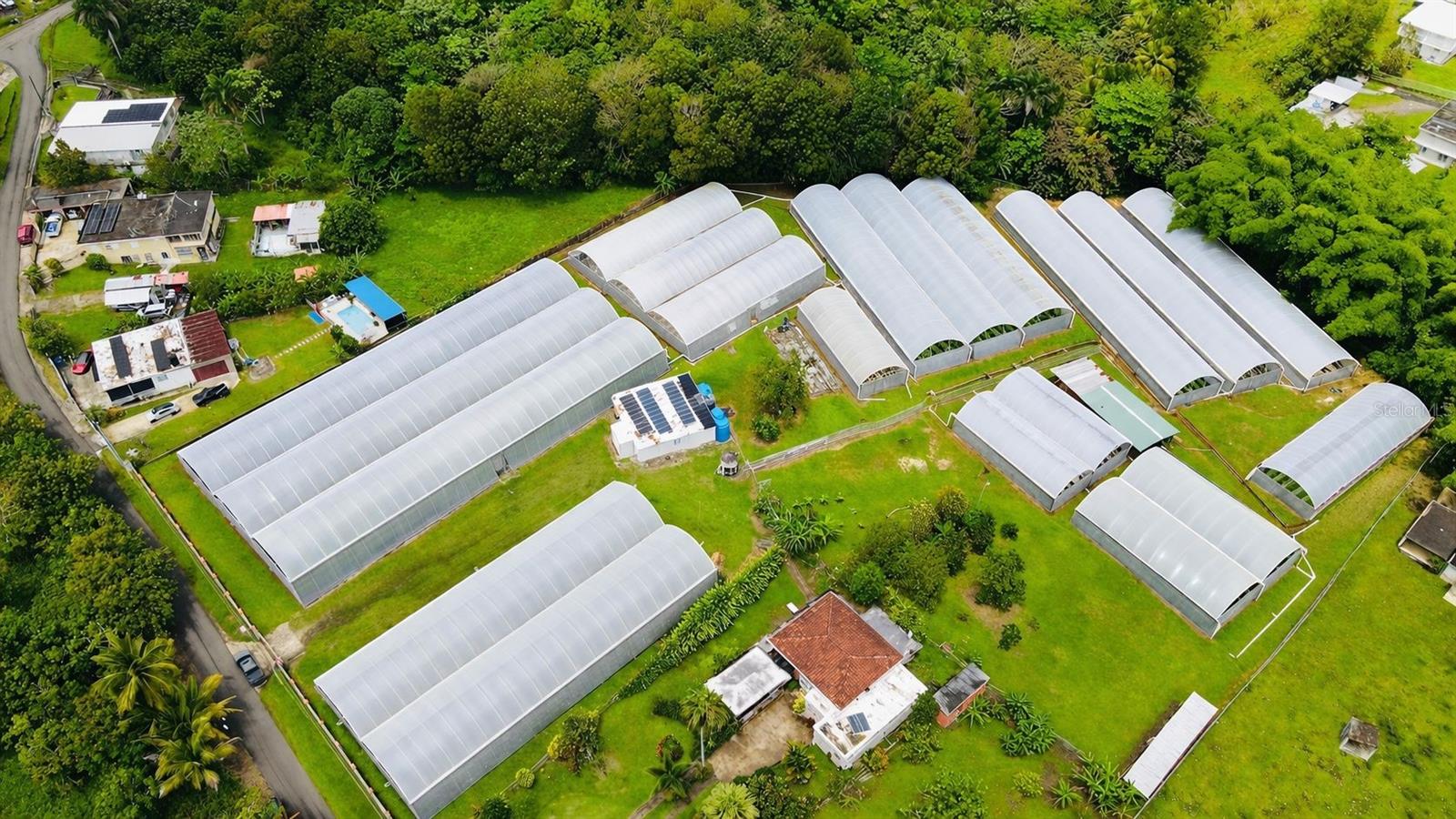MOROVIS