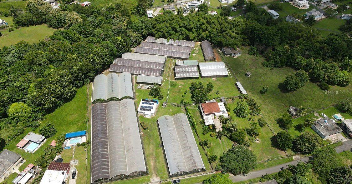MOROVIS — foto 2