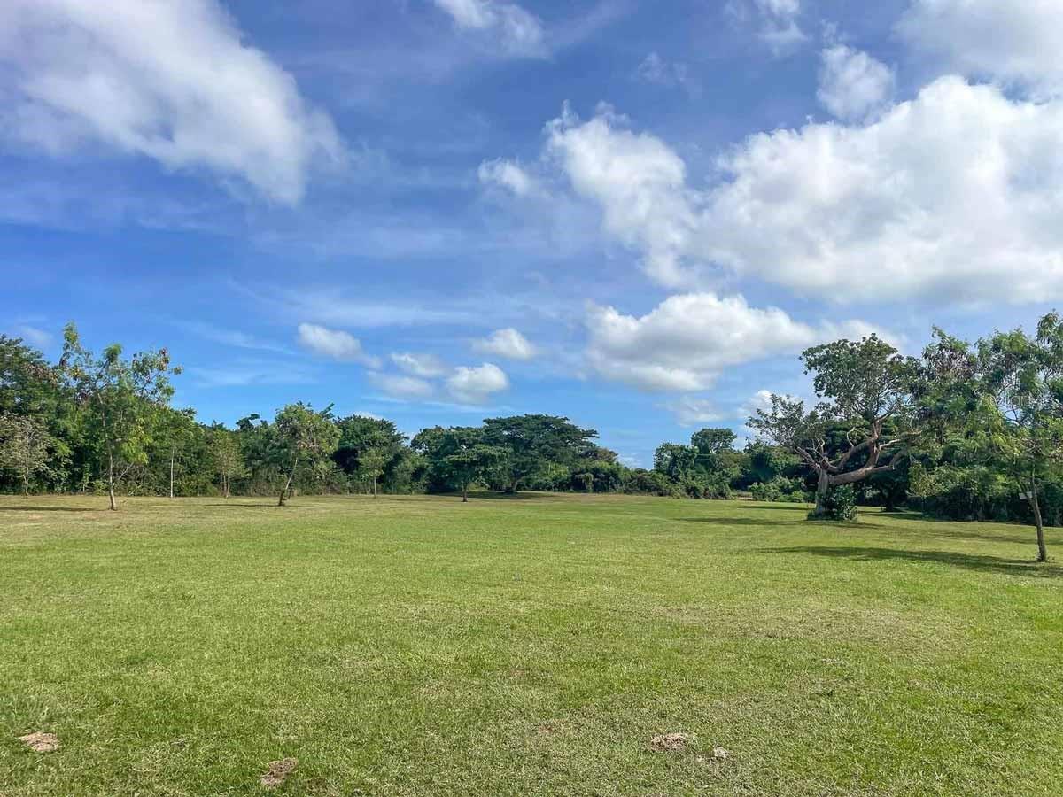 VIEQUES — foto 11