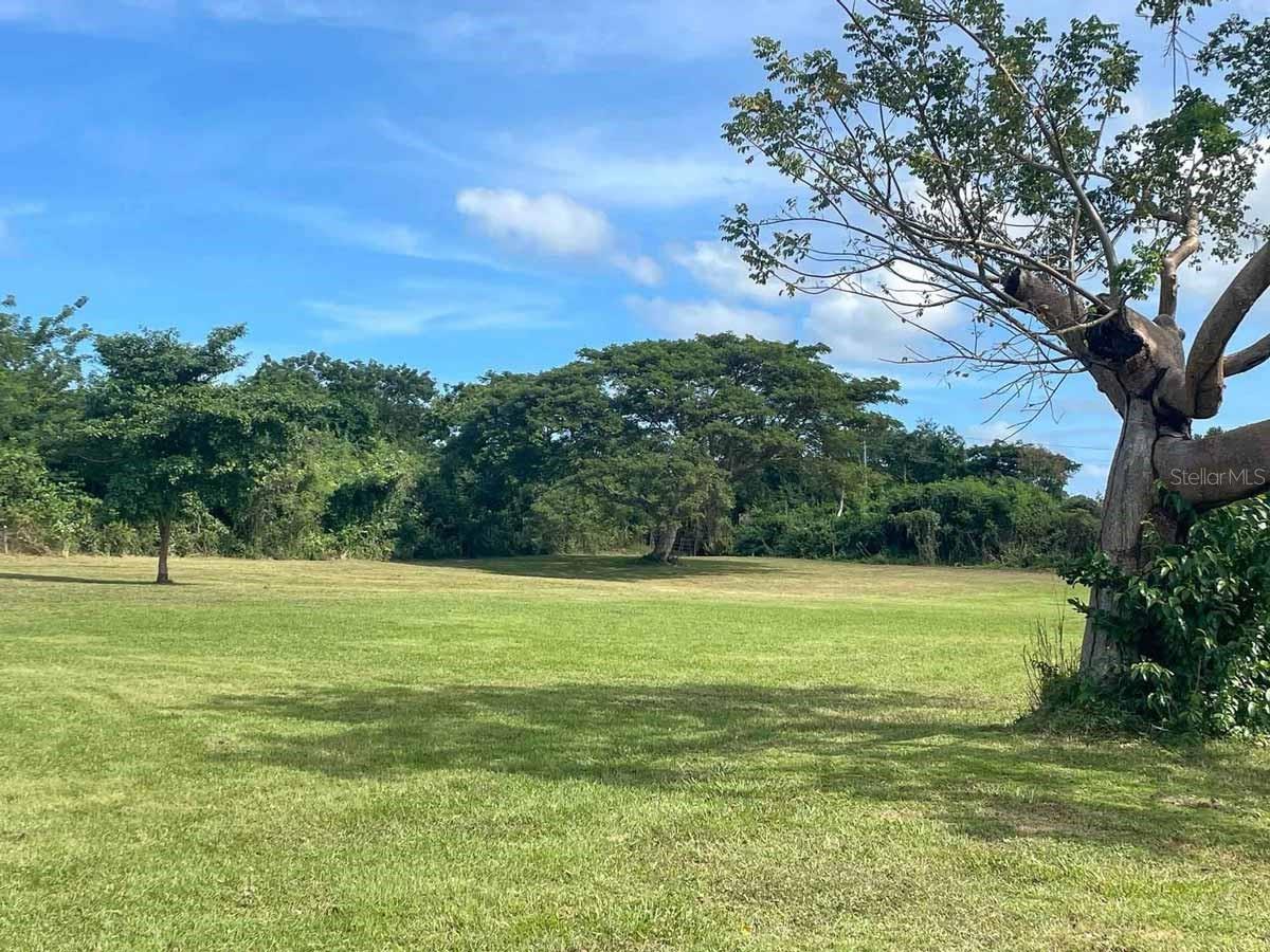 VIEQUES — foto 12