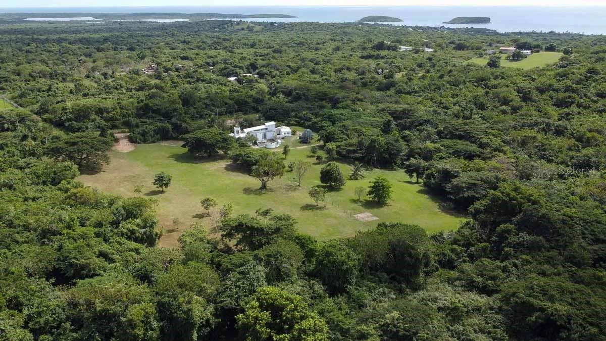 VIEQUES — foto 3