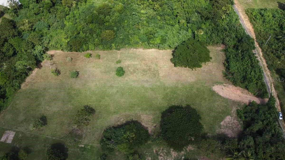 VIEQUES — foto 5