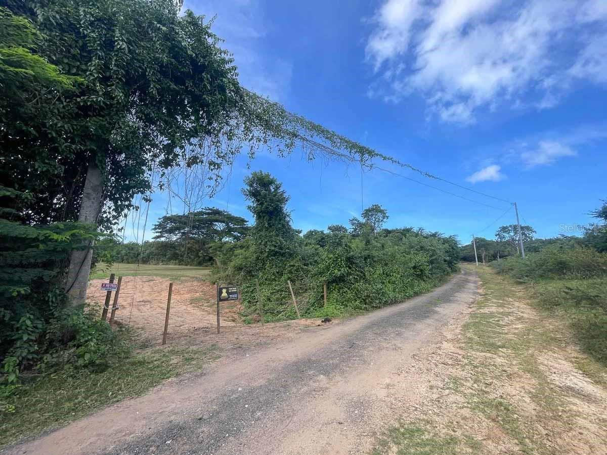 VIEQUES — foto 6