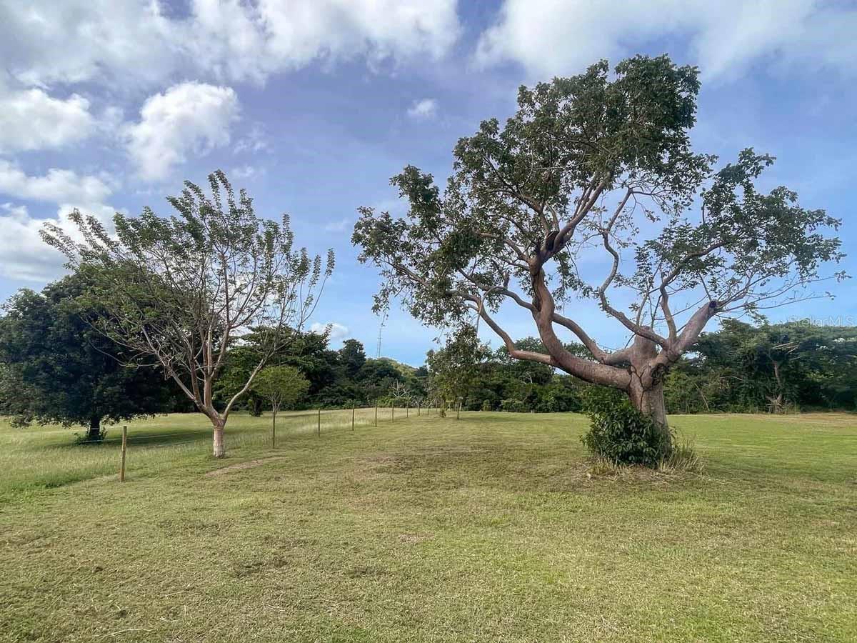 VIEQUES — foto 8
