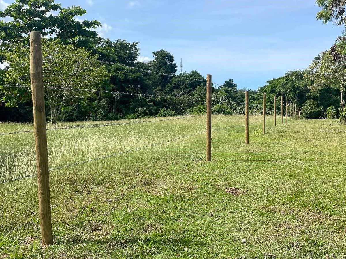VIEQUES — foto 9